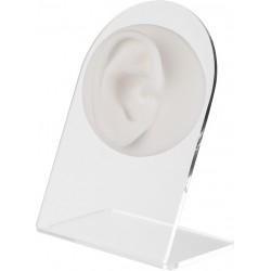 WHITE ANATOMIC DISPLAY EAR-R
