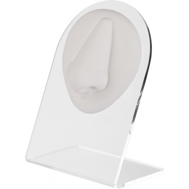 WHITE ANATOMIC DISPLAY NOSE WHITE ANATOMIC DISPLAY NOSE