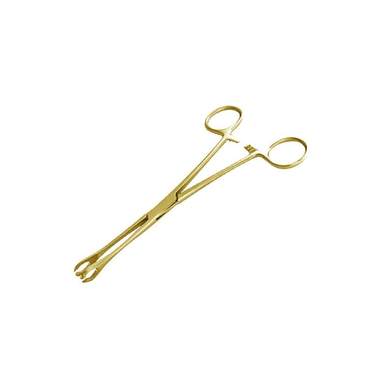 GOLD TOOLS - PINZA OVALE APERTA GOLD TOOLS - PINZA OVALE APERTA