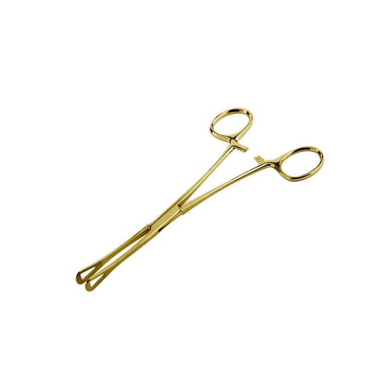 GOLD TOOLS - PINZA TRIANGOLARE GOLD TOOLS - PINZA TRIANGOLARE