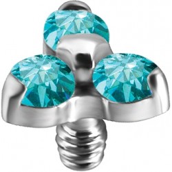 TT int TRINITY ATTACHMENT