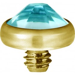GD TT int JEWELLED FLAT DISC