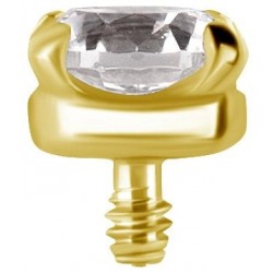 GD TT int MICRO ATTACHMENT SET