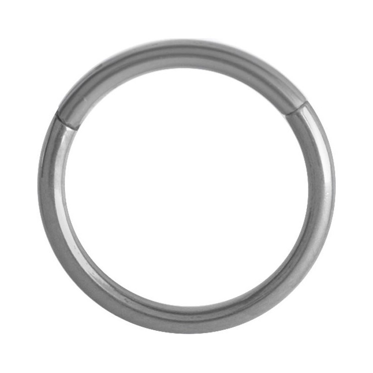 TT HINGED SEGMENT RING TT HINGED SEGMENT RING