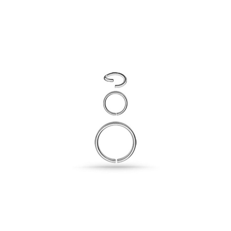 SS 316 CONTINUOUS RING SS 316 CONTINUOUS RING