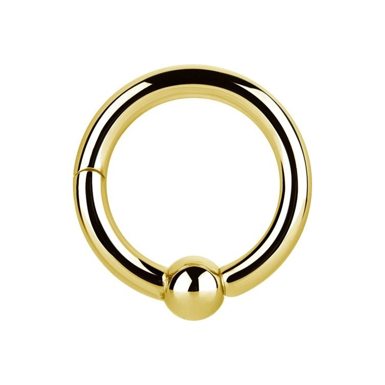 GD 316 HINGED BALL CLOSURE RING GD 316 HINGED BALL CLOSURE RING