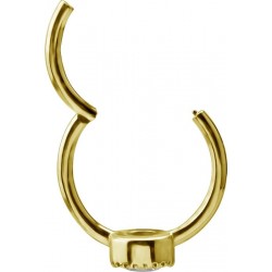 GD 316 HINGED RING SET W. ZIRCONIA 1,2x12mm WH
