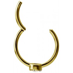 GD 316 HINGED RING SET W. ZIRCONIA 1,2x12mm WH