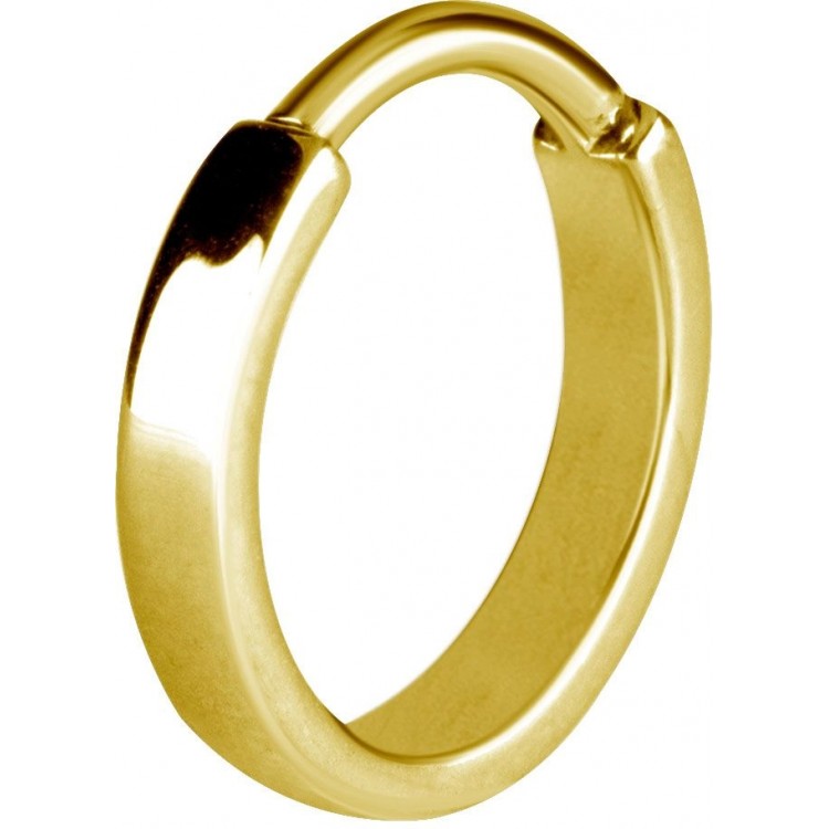 GD 316 HINGED RING (FLAT PROFILE) GD 316 HINGED RING (FLAT PROFILE)