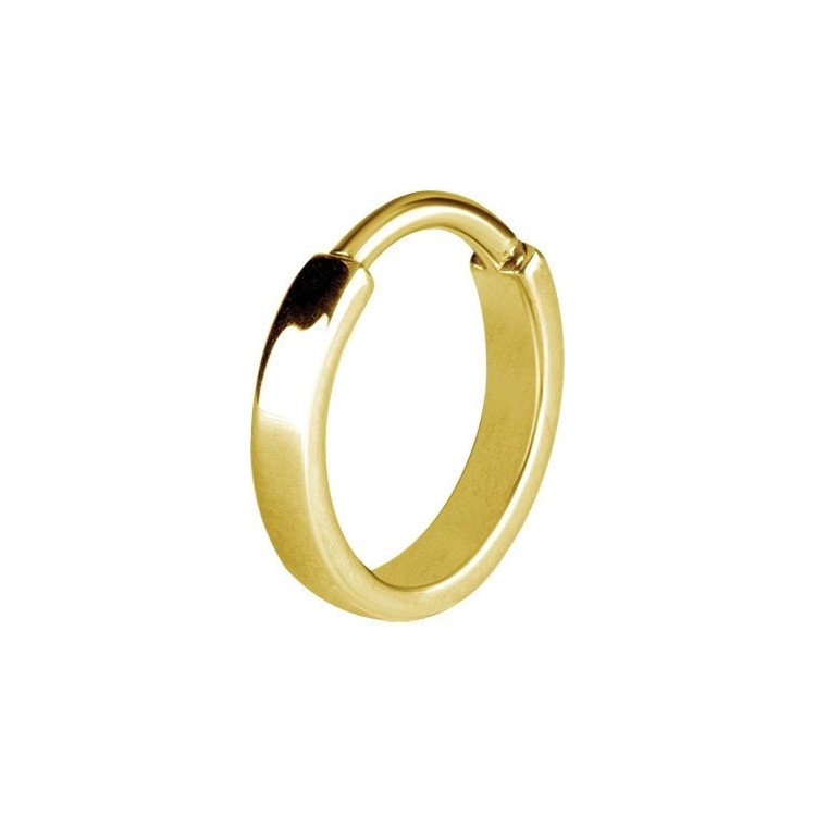 GD 316 PLAIN HINGED HOOPS GD 316 PLAIN HINGED HOOPS
