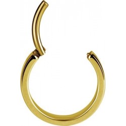 GD 316 PLAIN HINGED HOOPS