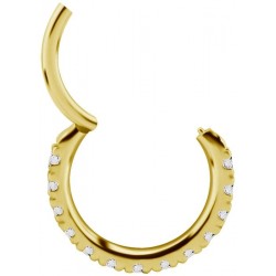 GD 316 HINGED RING SET with Jewels