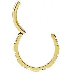 GD 316 HINGED RING SET with Jewels