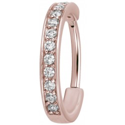 RG 316 HINGED RING (SINGLE ROW) SET W. ZIRCONIA