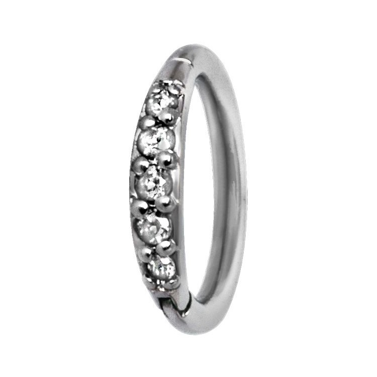 SS 316 HINGED RING SET with Jewels SS 316 HINGED RING SET with Jewels