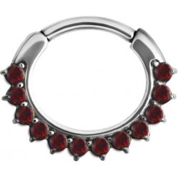 SS 316 OPAL CURVED SEPTUM CLICKERS