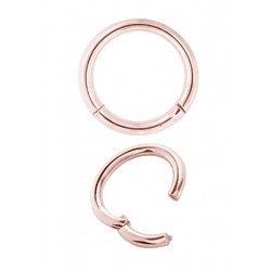 RG 316 CLICK SEGMENT RING