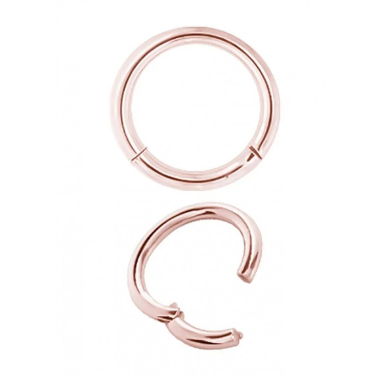 RG 316 CLICK SEGMENT RING RG 316 CLICK SEGMENT RING