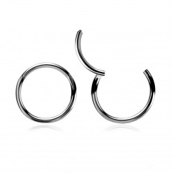 SS 316 CLICK SEGMENT RING