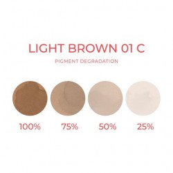 LIGHT BROWN 01 C (Freddo) - Artyst - 10ml - Conforme REACH