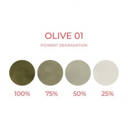 OLIVE 01 (Sopracciglia) - Artyst - 10ml - Correttore PMU REACH