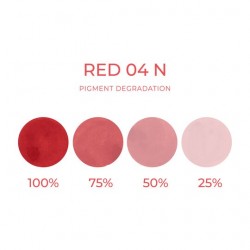 RED 04 N - Artyst - 10ml - Pigmento PMU REACH