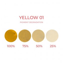 YELLOW 01 (Sopracciglia) - Artyst - 10ml - Correttore PMU REACH