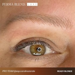 READY, SET, GO Pre-Modified Set  - Perma Blend Luxe - 6x15ml - Conforme REACH