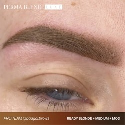 READY, SET, GO Pre-Modified Set  - Perma Blend Luxe - 6x15ml - Pigmenti PMU REACH