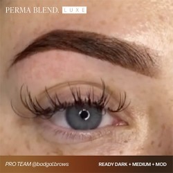 READY, SET, GO Pre-Modified Set  - Perma Blend Luxe - 6x15ml - Pigmenti PMU REACH