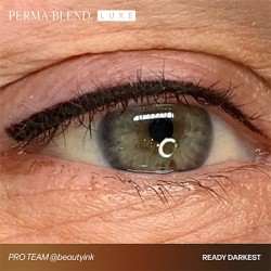 READY, SET, GO Pre-Modified Set  - Perma Blend Luxe - 6x15ml - Pigmenti PMU REACH