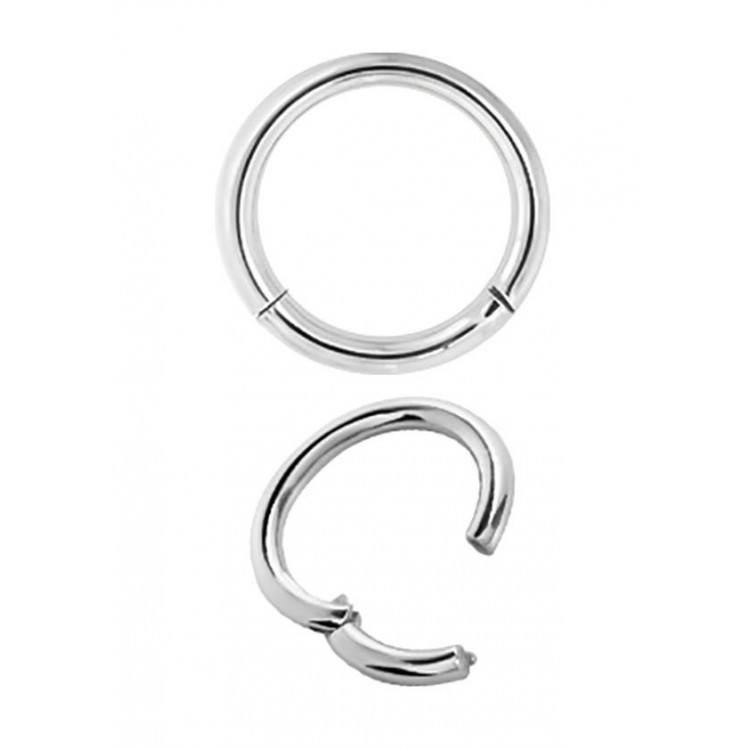 SS 316 CLICK SEGMENT RING SS 316 CLICK SEGMENT RING