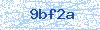 Codice di sicurezza